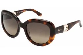 Ferragamo Womens Fashion 53 mm Tortoise Sunglasses