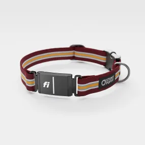 Fi GPS Included Longboard Everyday Collar (6 month subscription)