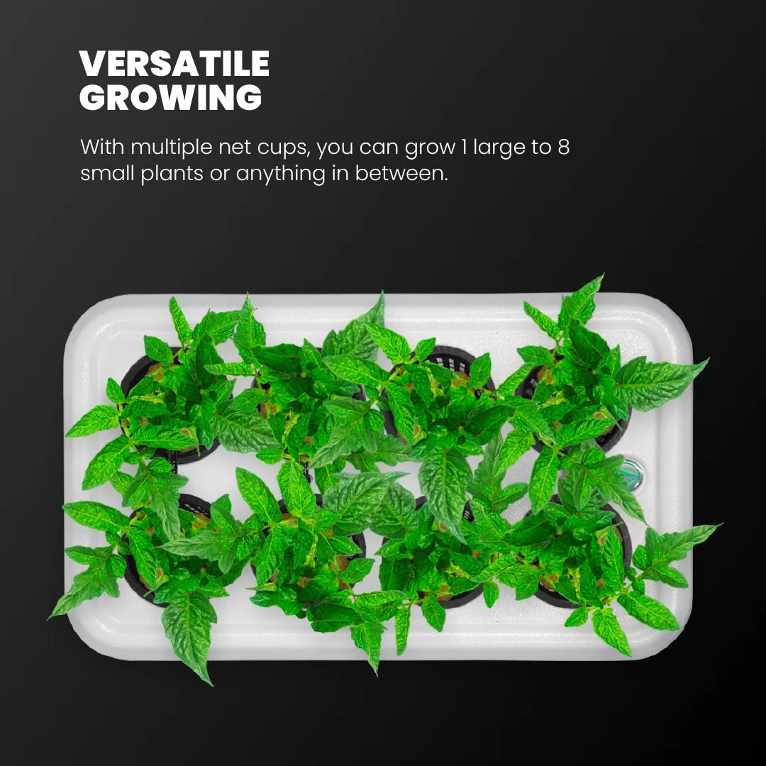 Hydroponic Grow System - 16