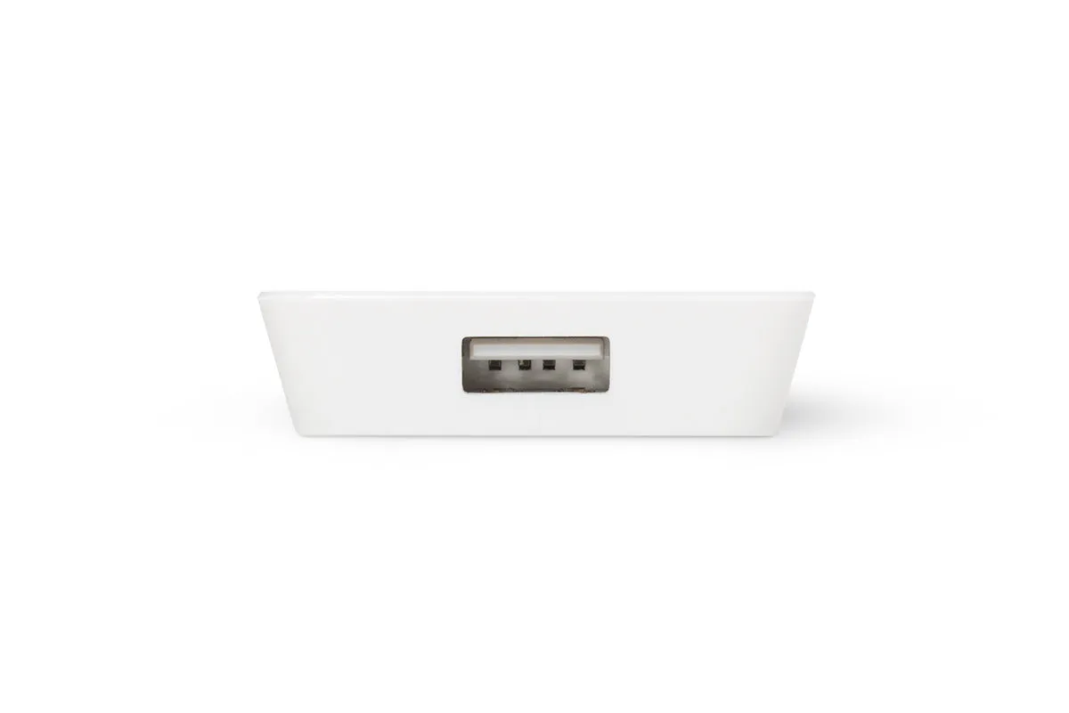 iStore Slim Dual USB-A Vertical Wall Charger