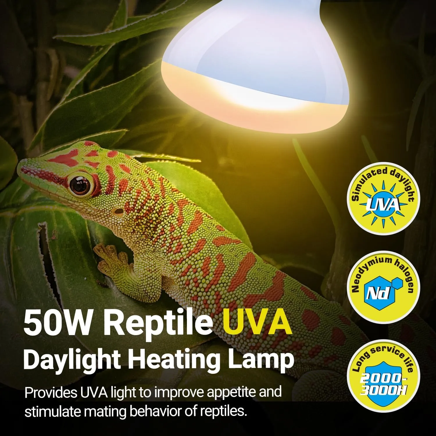 REPTIZOO Reptile Heat Lamp, 2 Pack 50W UVA Daylight Basking Spot Lamp for Reptiles