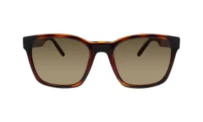 Salvatore Ferragamo Unisex Tortoise Sunglasses SF_959S_214_55mm