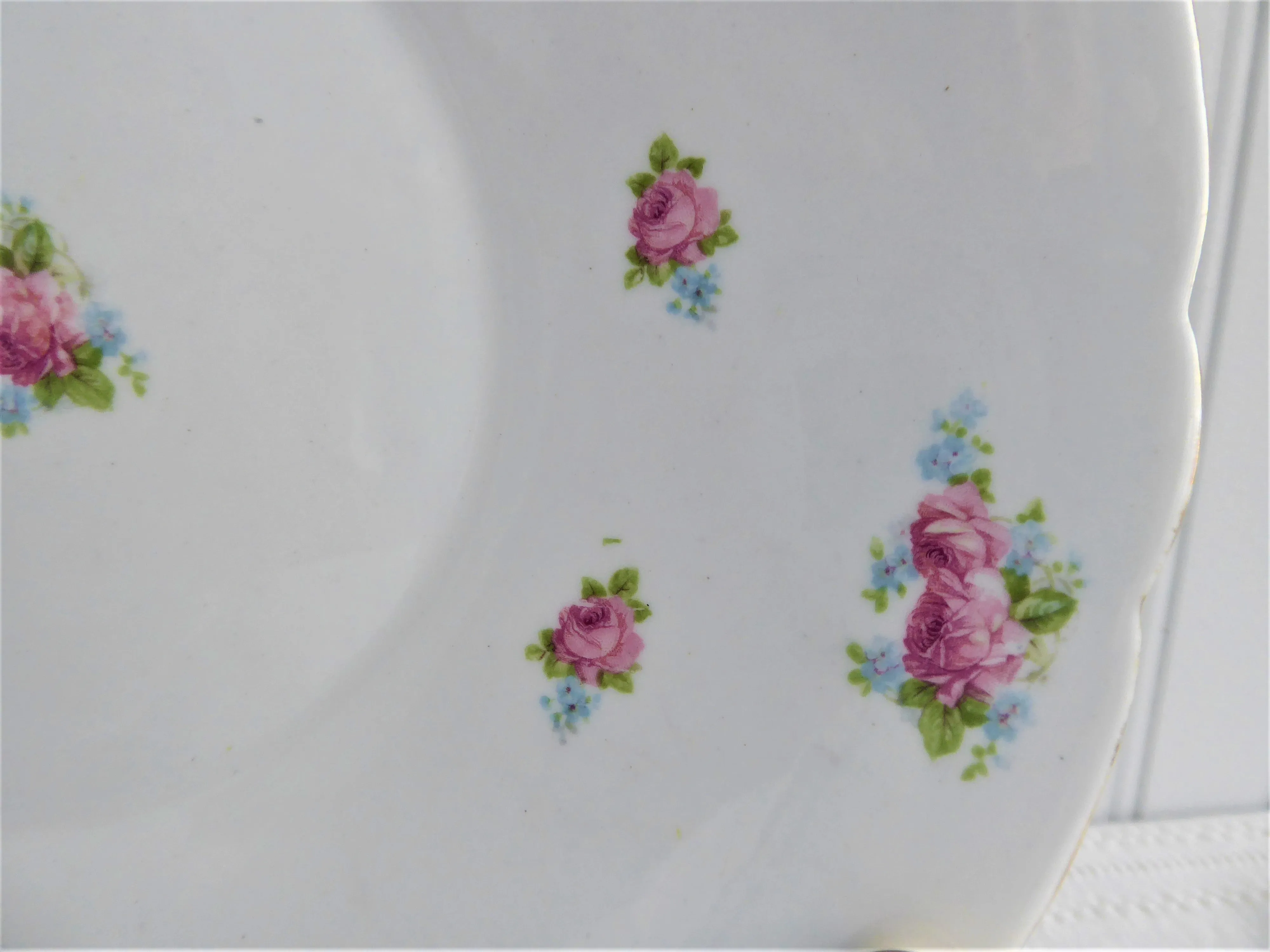 Shelley China Cake Plate Roses Forget Me Nots Dessert Server Luncheon Plate 1920s