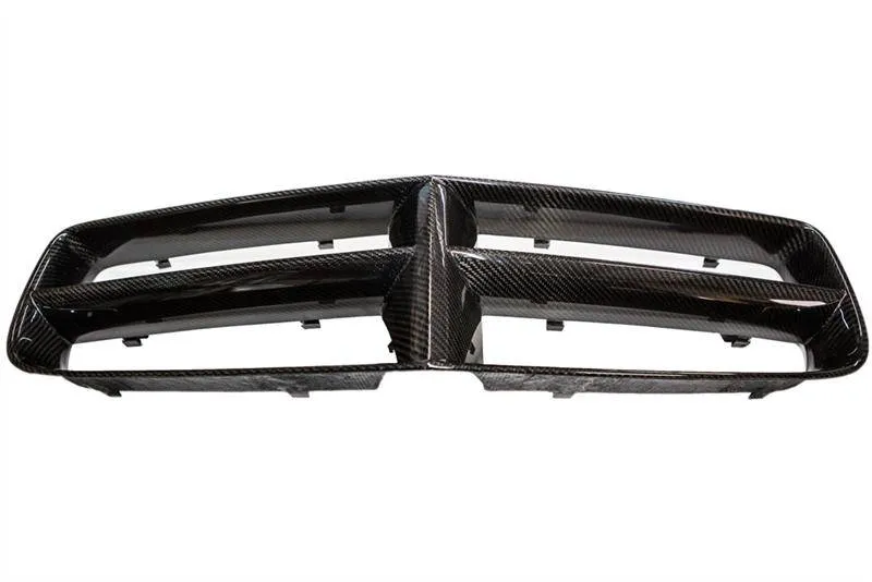 TruCarbon LG154 Carbon Fiber Grille: Dodge Charger 2006 - 2010