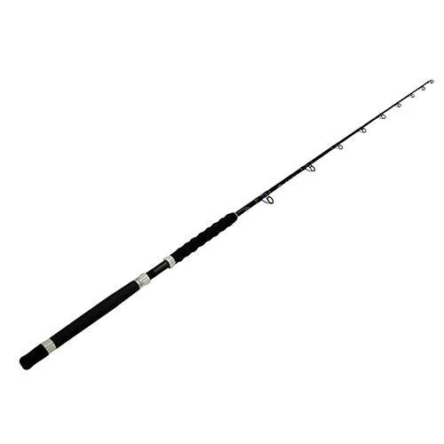 Wright and McGill Casting Boat Rod - 6' Length, 1 Piece Rod, 30-60 lb Line Weight, Heacy  Power, Fast Action